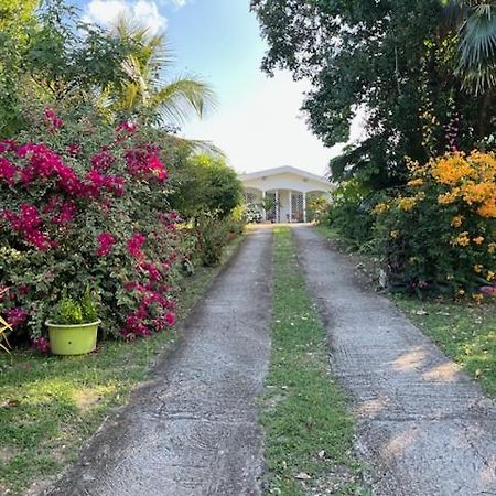 Jardin Des Anges-Bungalows Creoles Et Studio Le Moule Esterno foto