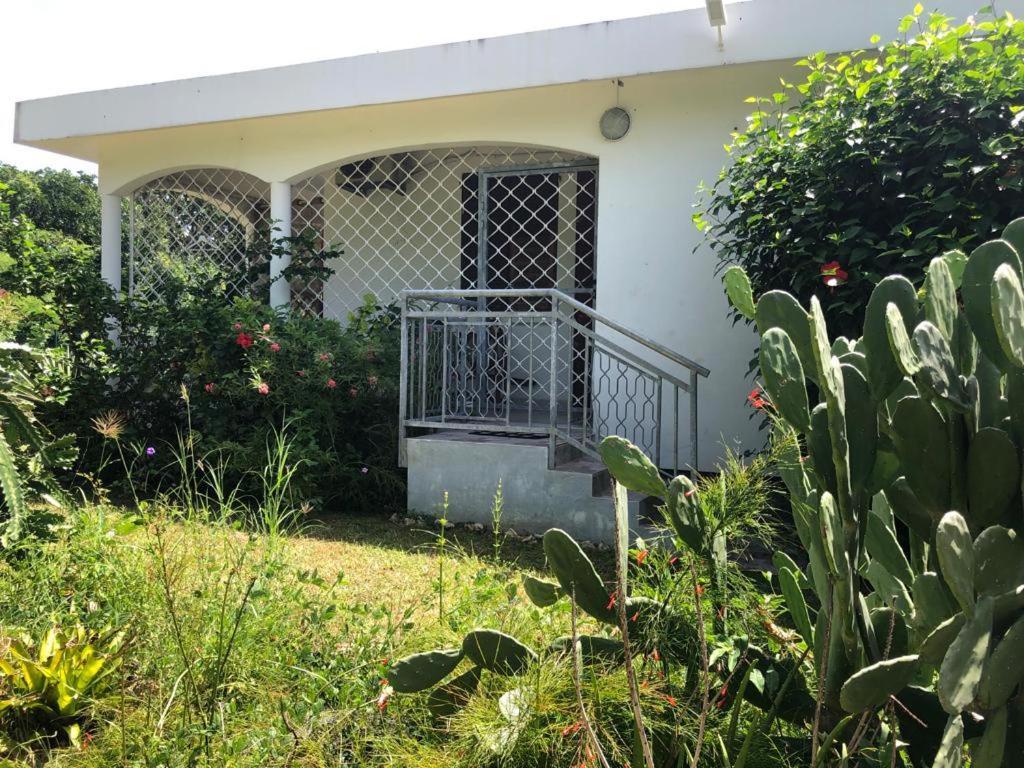 Jardin Des Anges-Bungalows Creoles Et Studio Le Moule Esterno foto