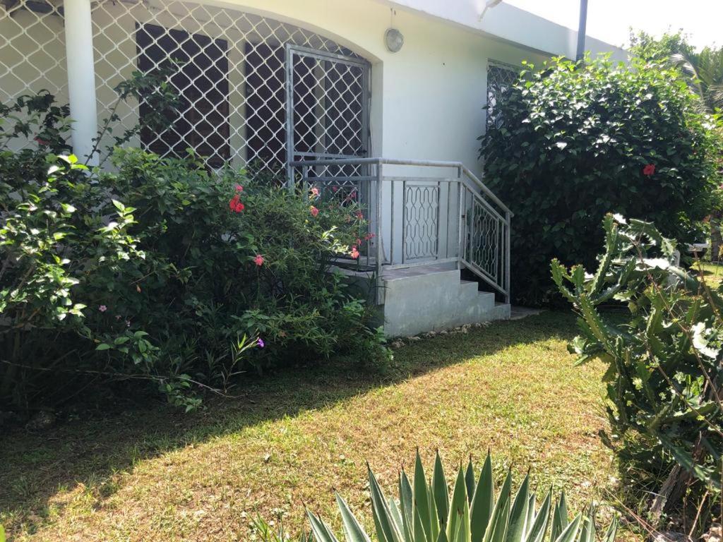 Jardin Des Anges-Bungalows Creoles Et Studio Le Moule Esterno foto