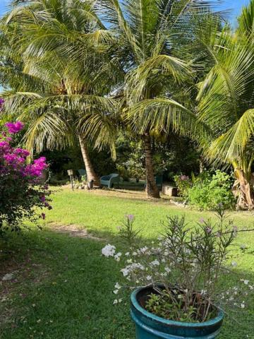 Jardin Des Anges-Bungalows Creoles Et Studio Le Moule Esterno foto