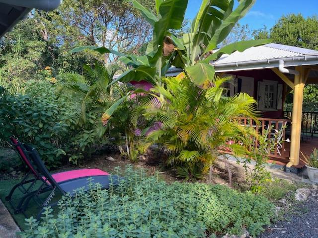 Jardin Des Anges-Bungalows Creoles Et Studio Le Moule Esterno foto